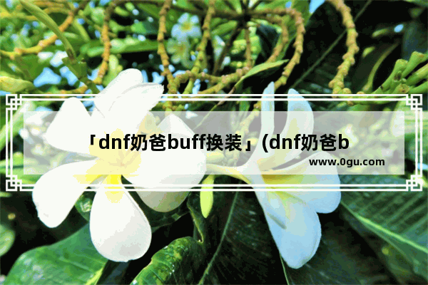 「dnf奶爸buff换装」(dnf奶爸buff换装登记)