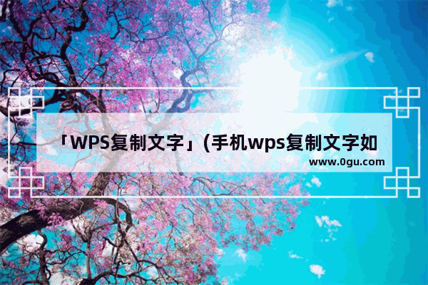 「WPS复制文字」(手机wps复制文字如何去除边框)