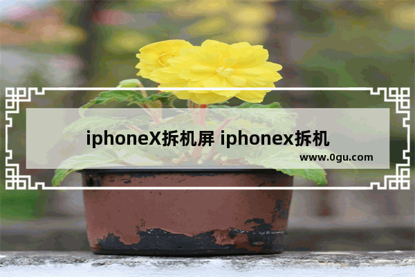iphoneX拆机屏 iphonex拆机屏是真的吗