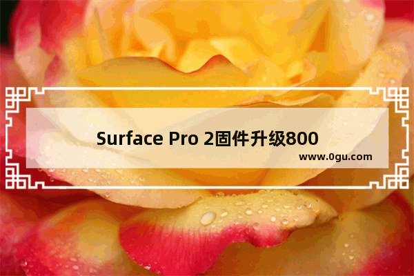 Surface Pro 2固件升级80070490错误的解决方法