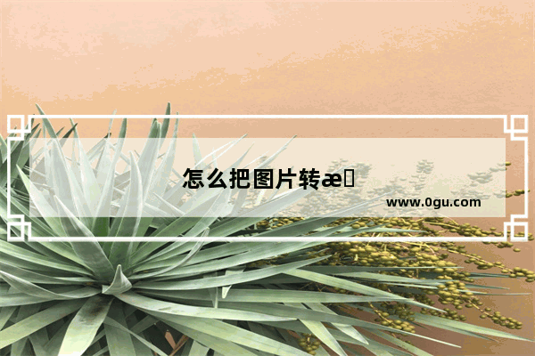 怎么把图片转换成文档，在手机上怎么把图片转换成文档
