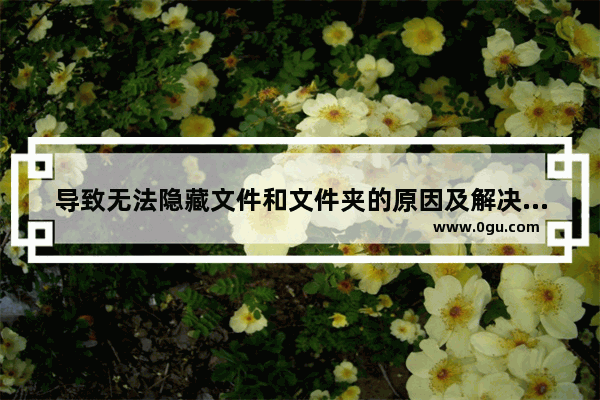 导致无法隐藏文件和文件夹的原因及解决方法