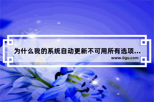 为什么我的系统自动更新不可用所有选项都是灰色状态