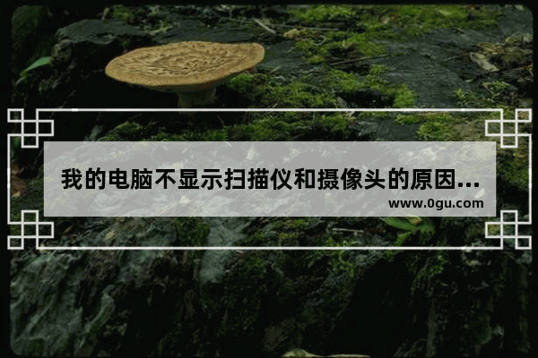我的电脑不显示扫描仪和摄像头的原因及解决方法