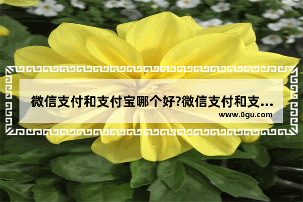 微信支付和支付宝哪个好?微信支付和支付宝区别是什么
