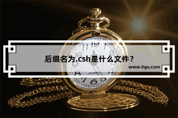 后缀名为.csh是什么文件？