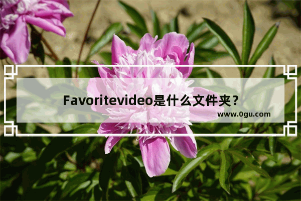 Favoritevideo是什么文件夹？如何删除Favoritevideo文件夹？
