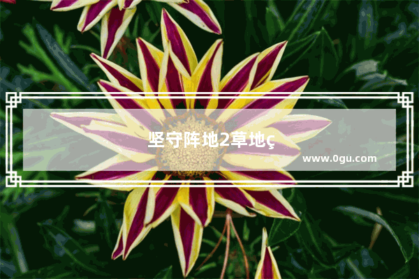 坚守阵地2草地第六关三星攻略