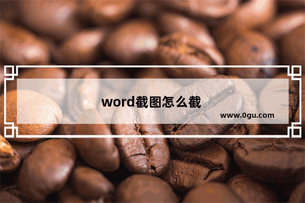 word截图怎么截 word截图怎么截一整页