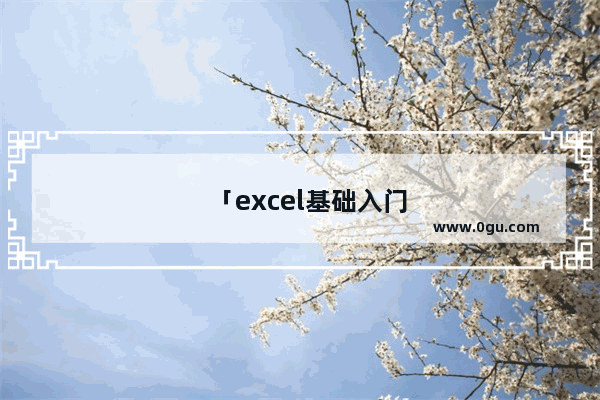 「excel基础入门教程」(excel基础入门教程书籍)