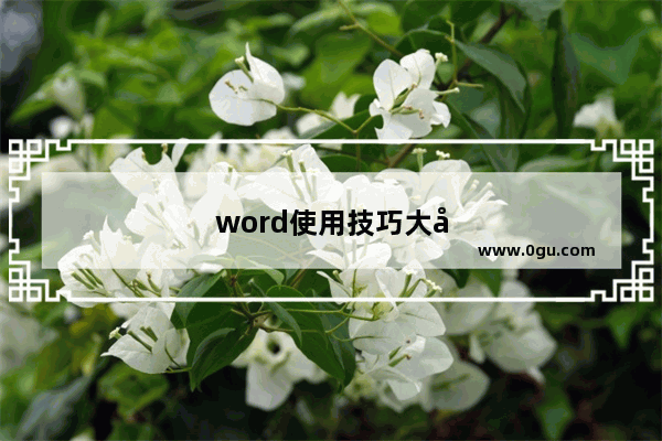 word使用技巧大全85例