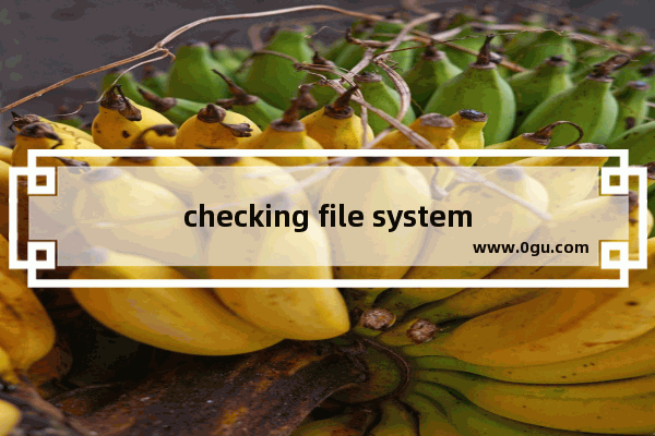 checking file system on是什么意思 这种问题如何解决