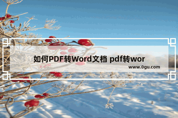 如何PDF转Word文档 pdf转word文档怎么转