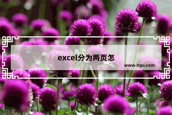 excel分为两页怎么调整