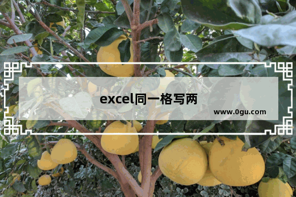 excel同一格写两行