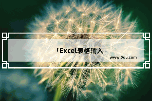 「Excel表格输入数字」(excel表格输入数字不显示0)