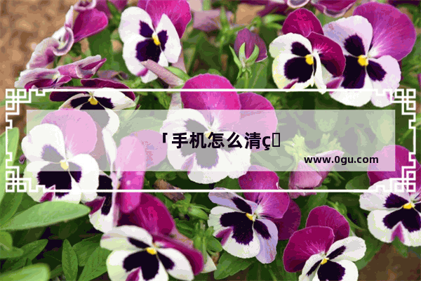 「手机怎么清理app缓存」(华为手机怎么清理app缓存数据)