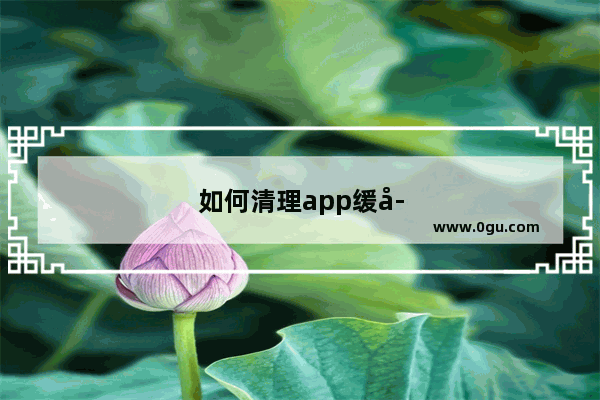 如何清理app缓存：苹果手机如何清理App缓存