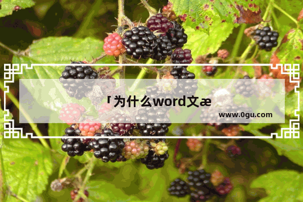 「为什么word文档打字」(为什么word文档打字会出现红色下划线)