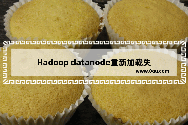 Hadoop datanode重新加载失败无法启动现象解决方法介绍