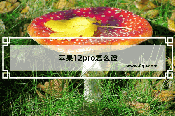 苹果12pro怎么设置卡1卡2拨号