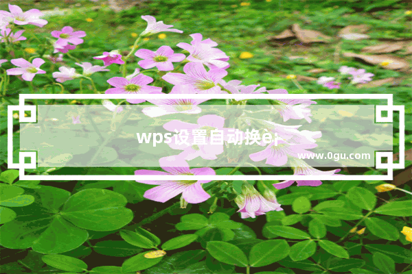 wps设置自动换行加圈序号