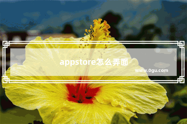 appstore怎么弄面容