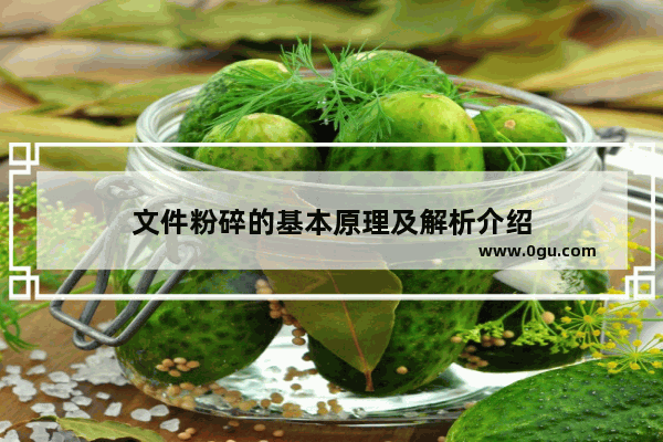文件粉碎的基本原理及解析介绍