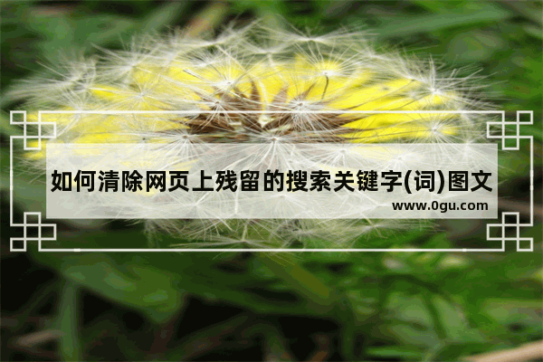 如何清除网页上残留的搜索关键字(词)图文讲解
