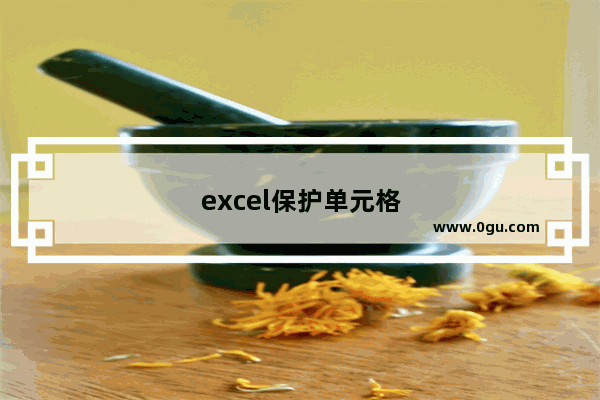 excel保护单元格不被修改