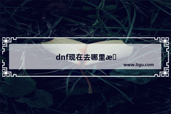dnf现在去哪里搬砖