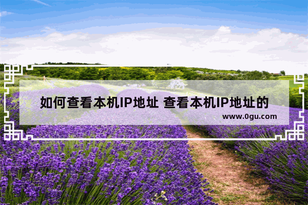 如何查看本机IP地址 查看本机IP地址的方法(图文教程)