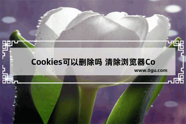 Cookies可以删除吗 清除浏览器Cookies图文教程