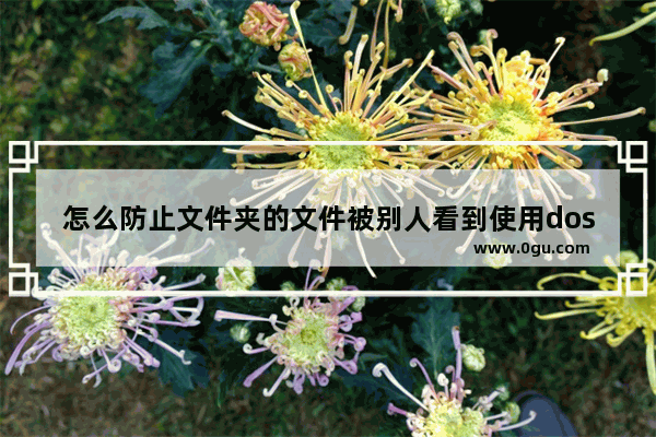 怎么防止文件夹的文件被别人看到使用dos命令解决