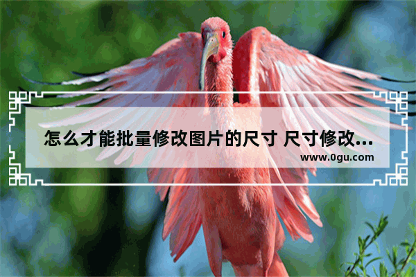 怎么才能批量修改图片的尺寸 尺寸修改的方法