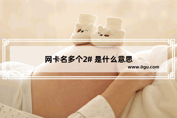 网卡名多个2# 是什么意思
