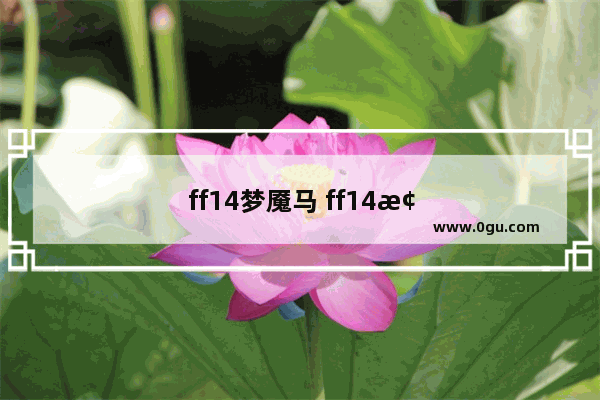 ff14梦魇马 ff14梦魇马哪里出