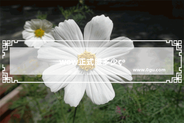 wow正式服多少级可以进副本