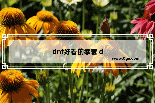 dnf好看的拳套 dnf好看的拳套幻化