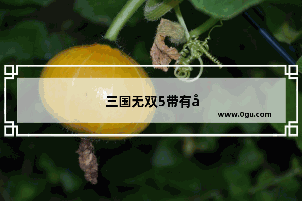 三国无双5带有开运的武将 真三国无双5带有开运的武将