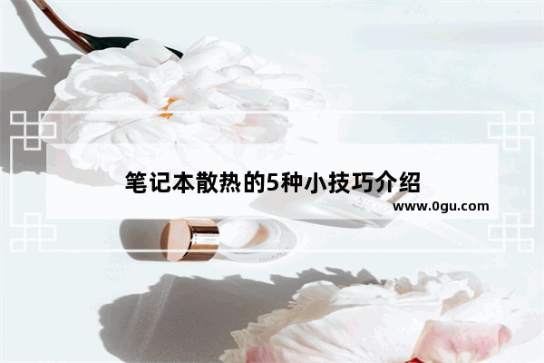 笔记本散热的5种小技巧介绍