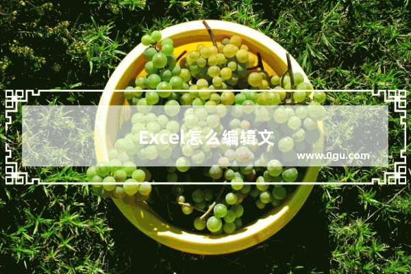 Excel怎么编辑文字