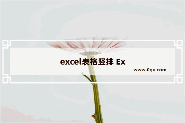 excel表格竖排 Excel表格竖排变横排