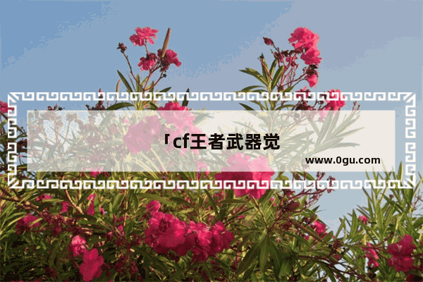 「cf王者武器觉醒」(cf王者武器觉醒和不觉醒的区别)