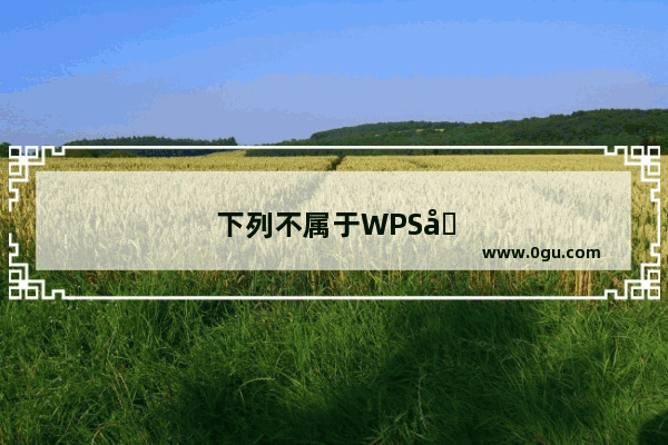下列不属于WPS图表对象的是