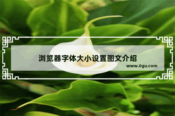 浏览器字体大小设置图文介绍