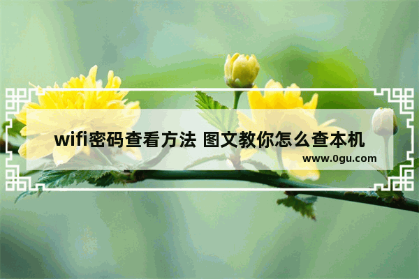 wifi密码查看方法 图文教你怎么查本机wifi密码