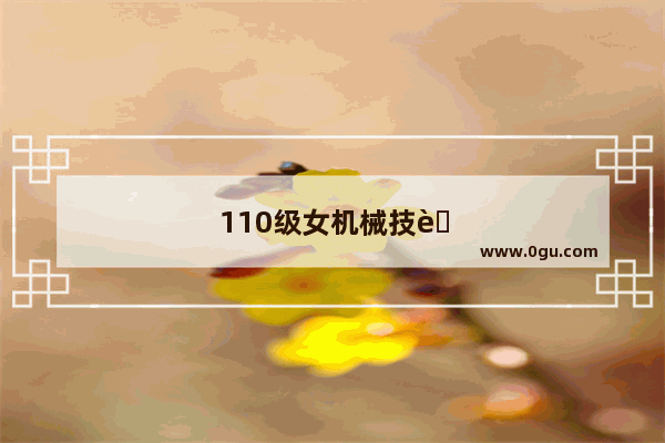 110级女机械技能加点