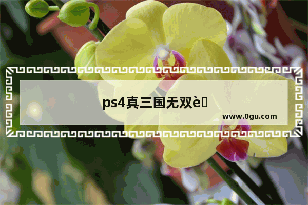 ps4真三国无双英杰传 ps4真三国无双英杰传武器带光是什么意思
