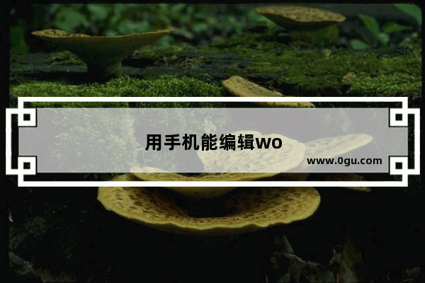 用手机能编辑word文档 用手机能编辑word文档的软件叫啥